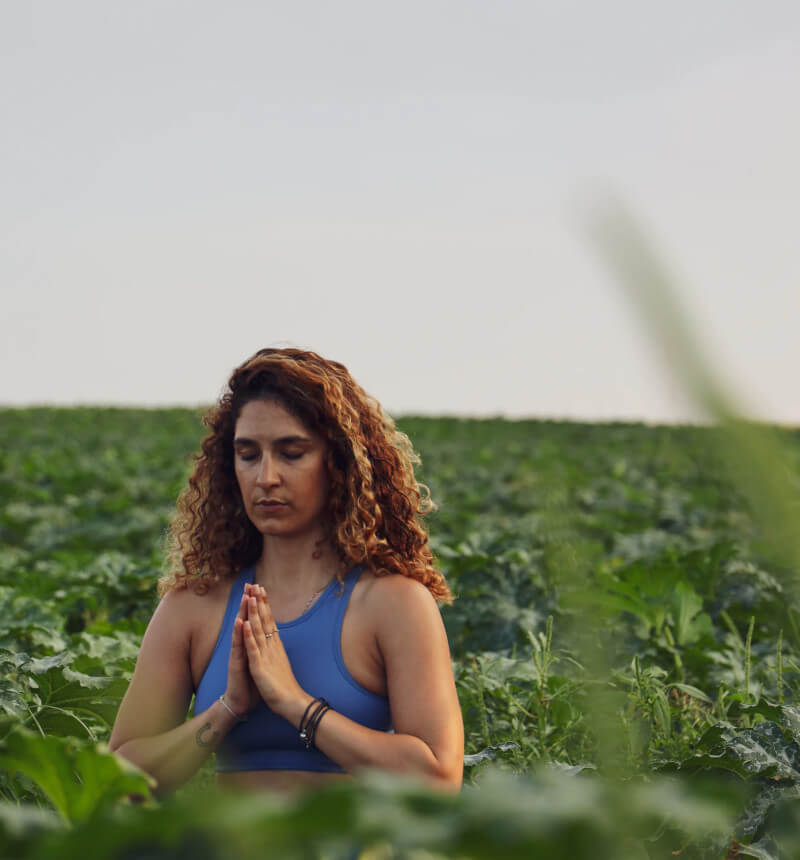 Reiki Vision Reiki Vision
