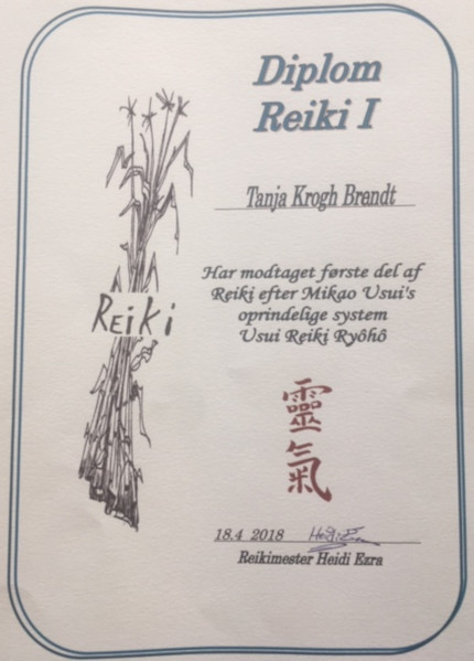 Reiki Vision Reiki Vision
