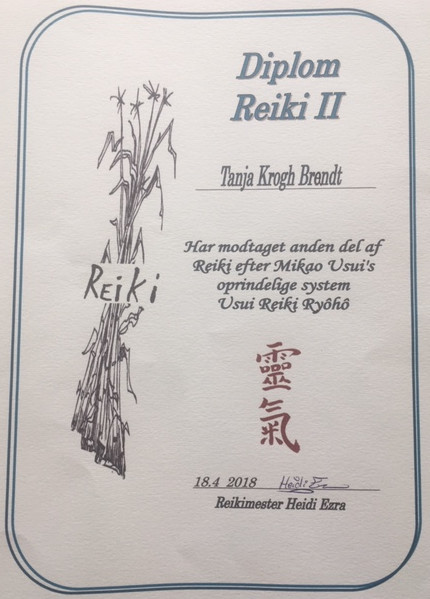 Reiki Vision Reiki Vision